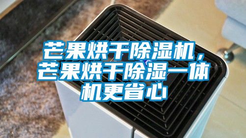 芒果烘干除湿机，芒果烘干除湿一体机更省心