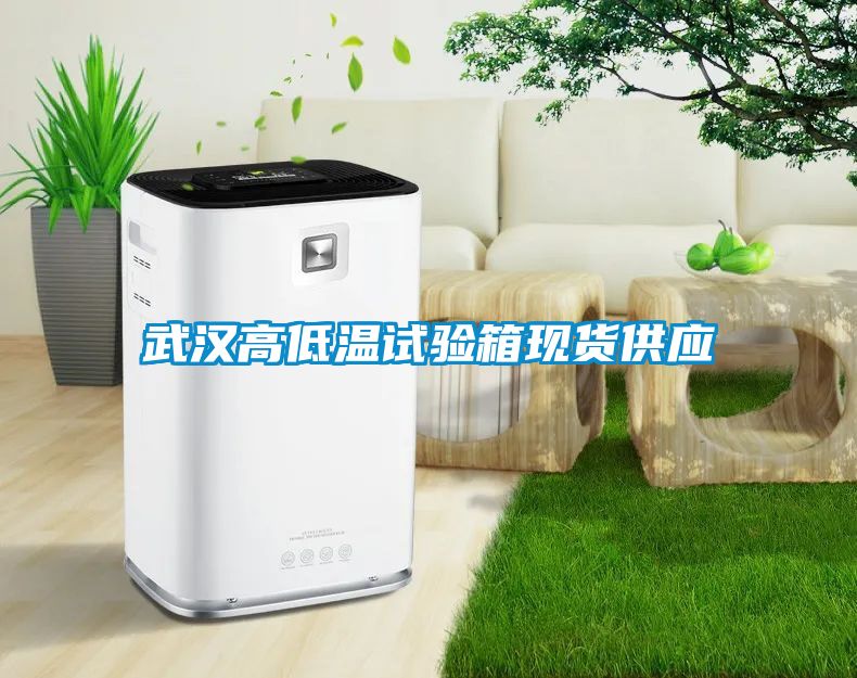 武汉高低温试验箱现货供应