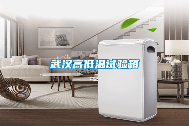 武汉高低温试验箱