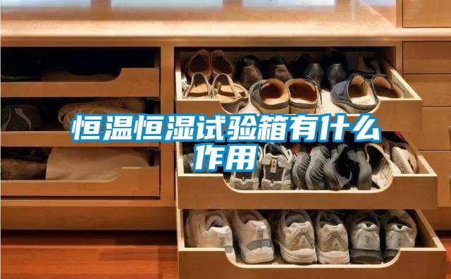 恒温恒湿试验箱有什么作用