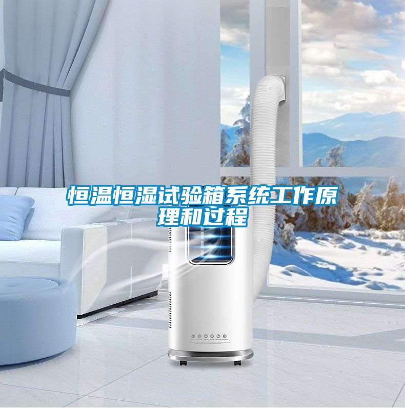 恒温恒湿试验箱系统工作原理和过程