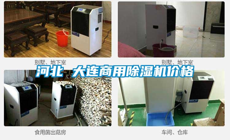 河北 大连商用除湿机价格