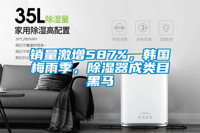 销量激增587%，韩国梅雨季，除湿器成类目黑马