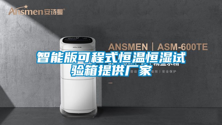 智能版可程式恒温恒湿试验箱提供厂家