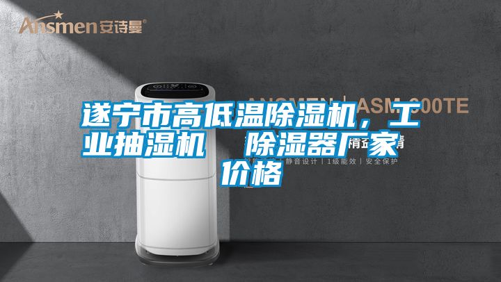 遂宁市高低温除湿机，工业抽湿机  除湿器厂家 价格