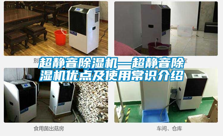 超静音除湿机—超静音除湿机优点及使用常识介绍