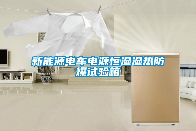 新能源电车电源恒湿湿热防爆试验箱