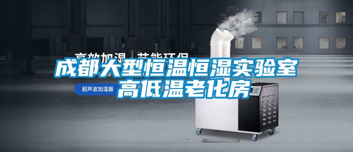 成都大型恒温恒湿实验室 高低温老化房