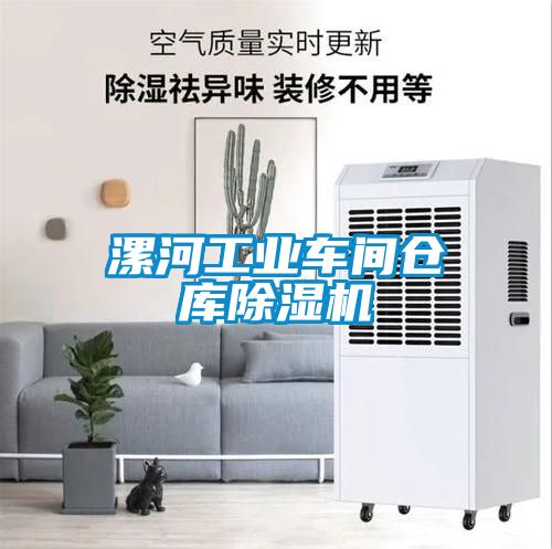 漯河工业车间仓库除湿机
