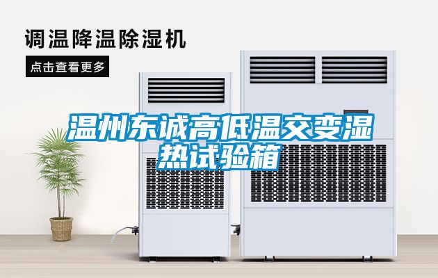 温州东诚高低温交变湿热试验箱