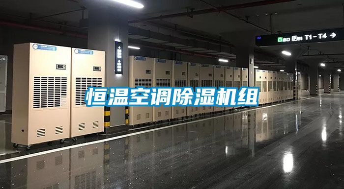 恒温空调除湿机组