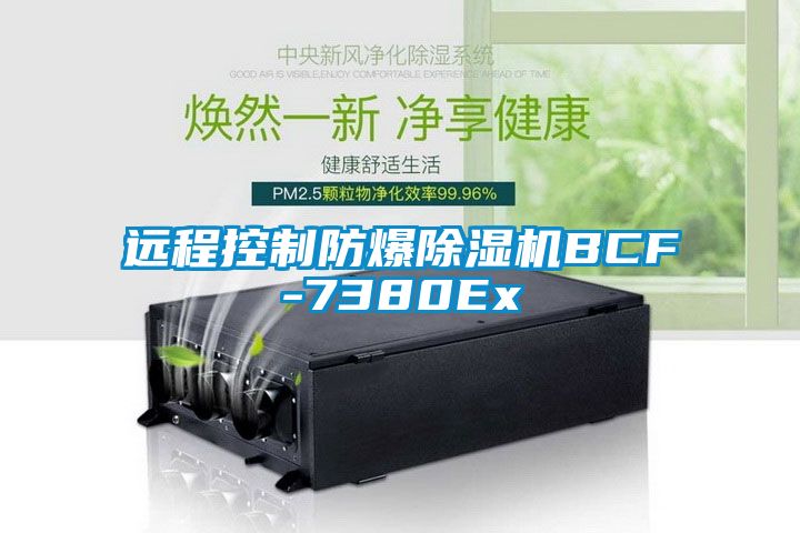 远程控制防爆除湿机BCF-7380Ex
