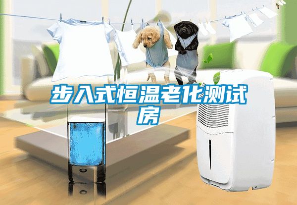 步入式恒温老化测试房