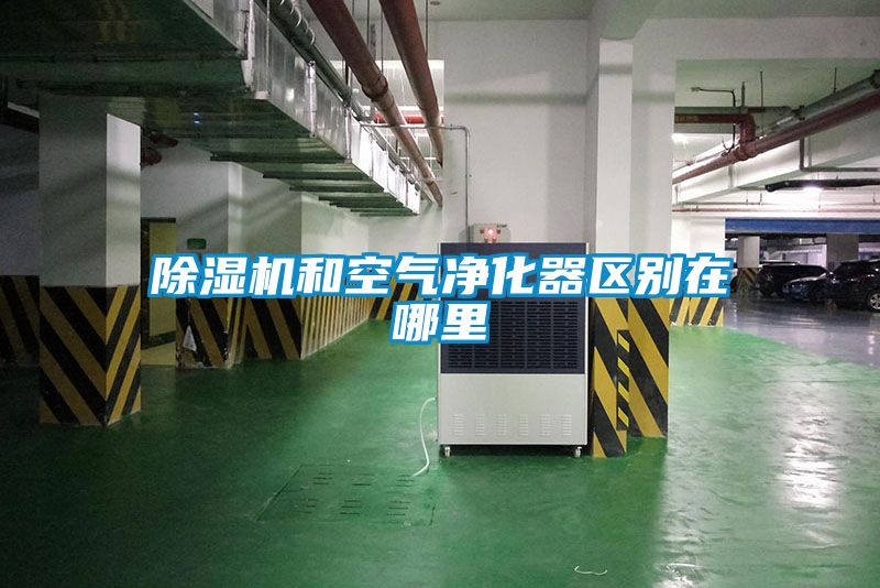 除湿机和空气净化器区别在哪里