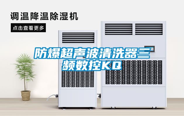 防爆超声波清洗器三频数控KQ