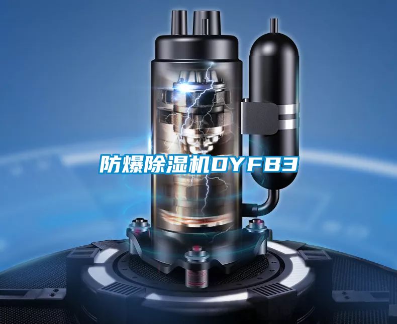 防爆除湿机DYFB3