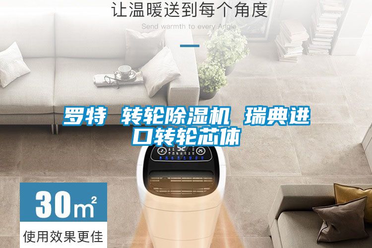 罗特 转轮除湿机 瑞典进口转轮芯体