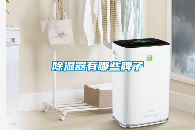 除湿器有哪些牌子