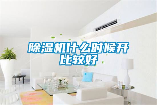 除湿机什么时候开比较好