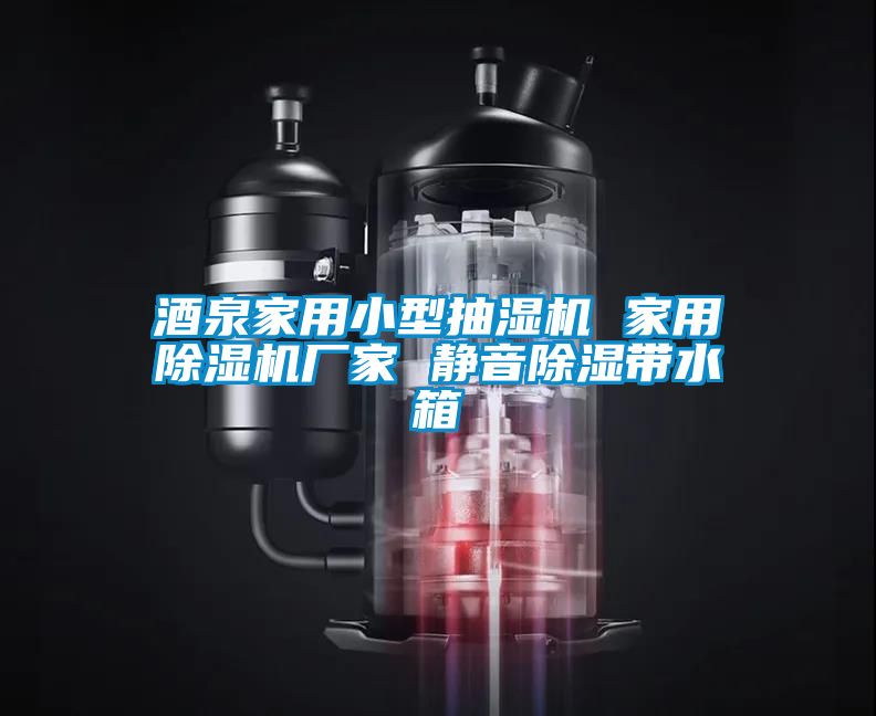 酒泉家用小型抽湿机 家用除湿机厂家 静音除湿带水箱