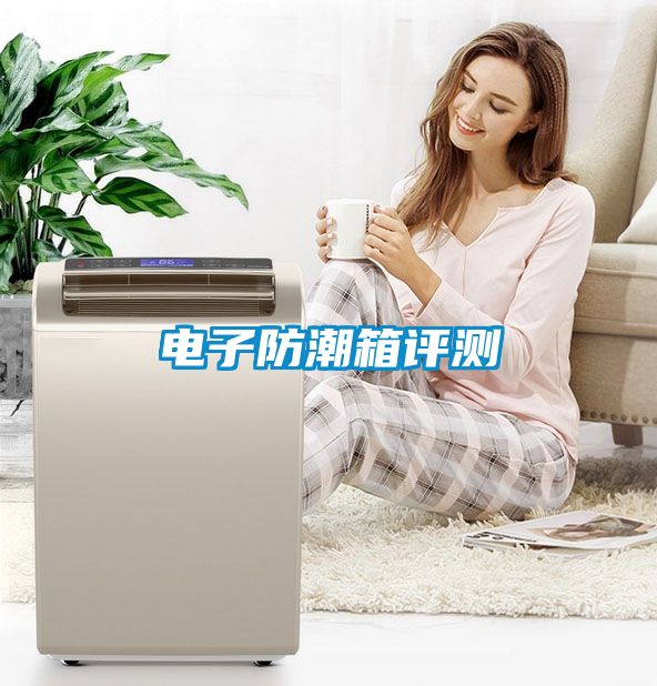 电子防潮箱评测