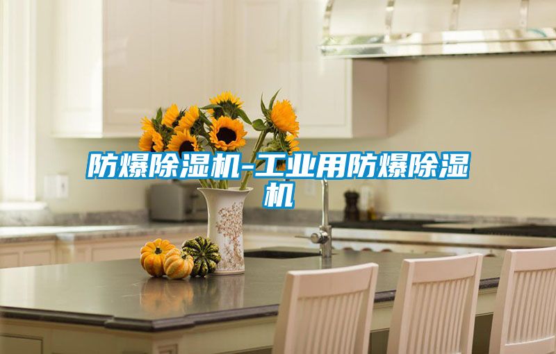 防爆除湿机-工业用防爆除湿机