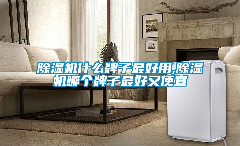 除湿机什么牌子最好用,除湿机哪个牌子最好又便宜