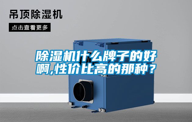 除湿机什么牌子的好啊,性价比高的那种？