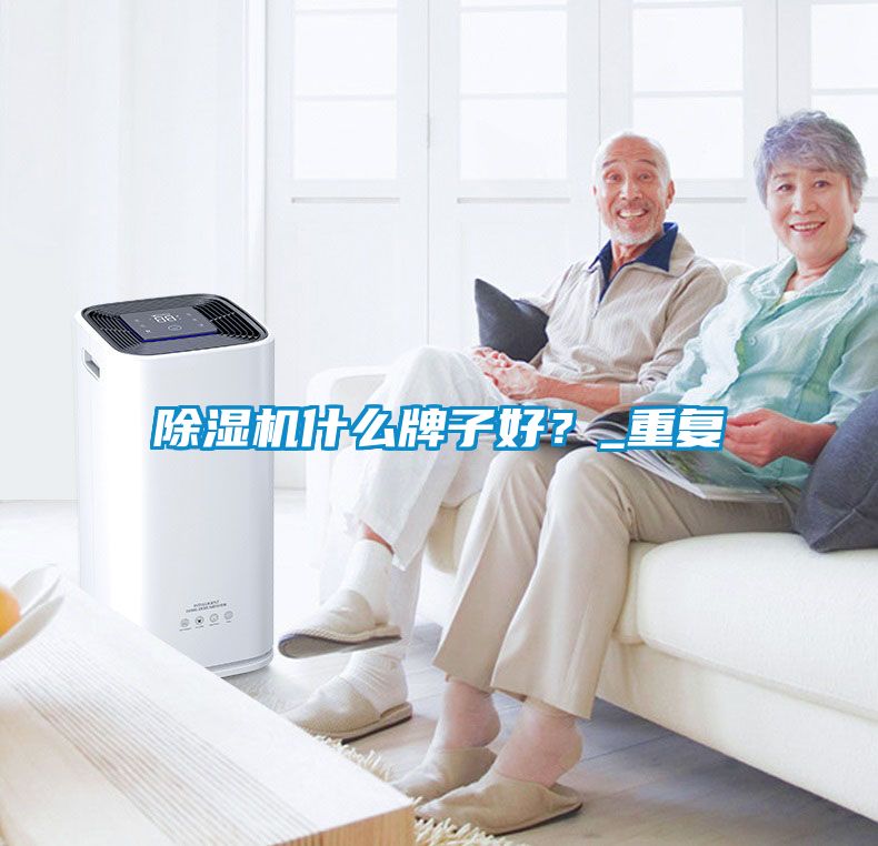 除湿机什么牌子好？_重复