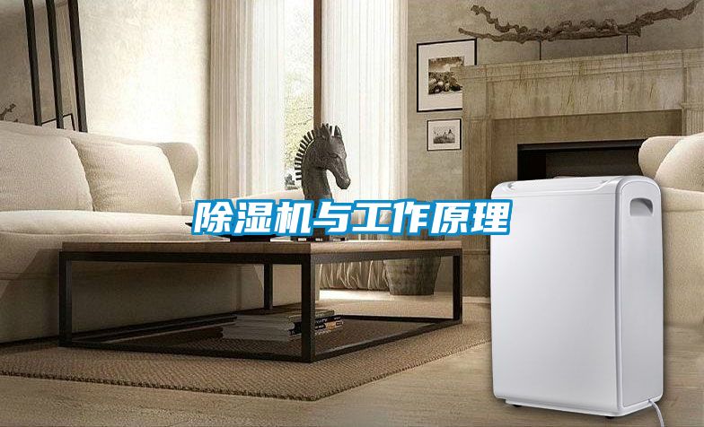 除湿机与工作原理