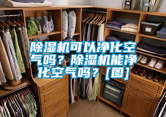 除湿机可以净化空气吗？除湿机能净化空气吗？[图]