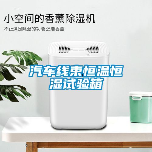 汽车线束恒温恒湿试验箱