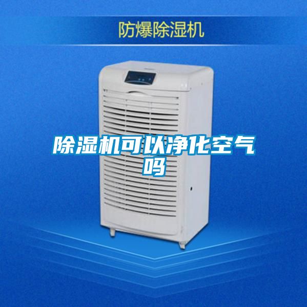 除湿机可以净化空气吗
