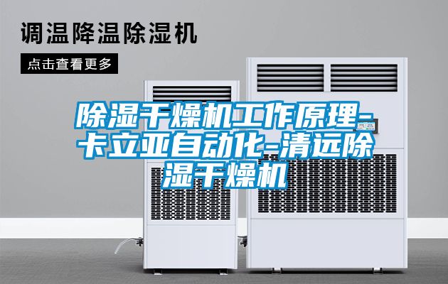 除湿干燥机工作原理-卡立亚自动化-清远除湿干燥机