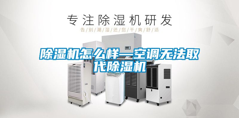 除湿机怎么样—空调无法取代除湿机