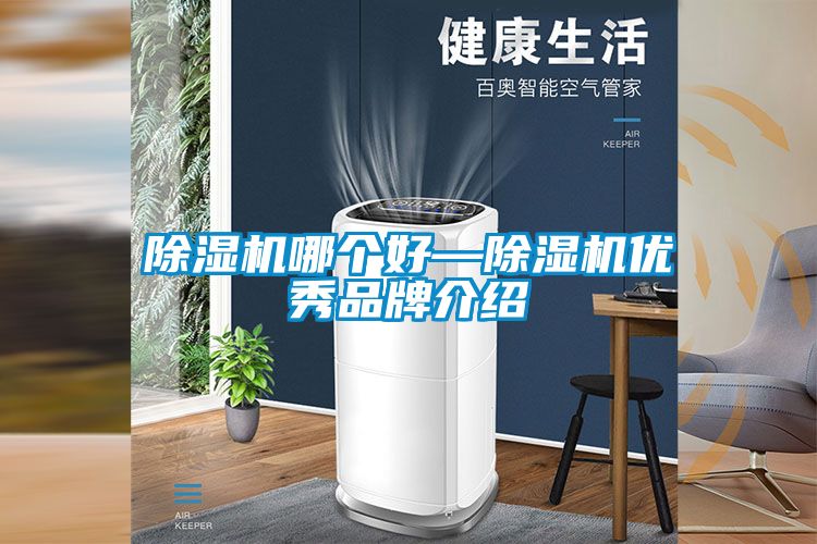 除湿机哪个好—除湿机优秀品牌介绍