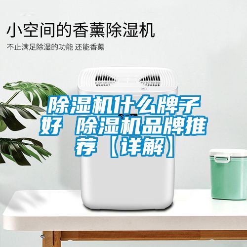 除湿机什么牌子好 除湿机品牌推荐【详解】