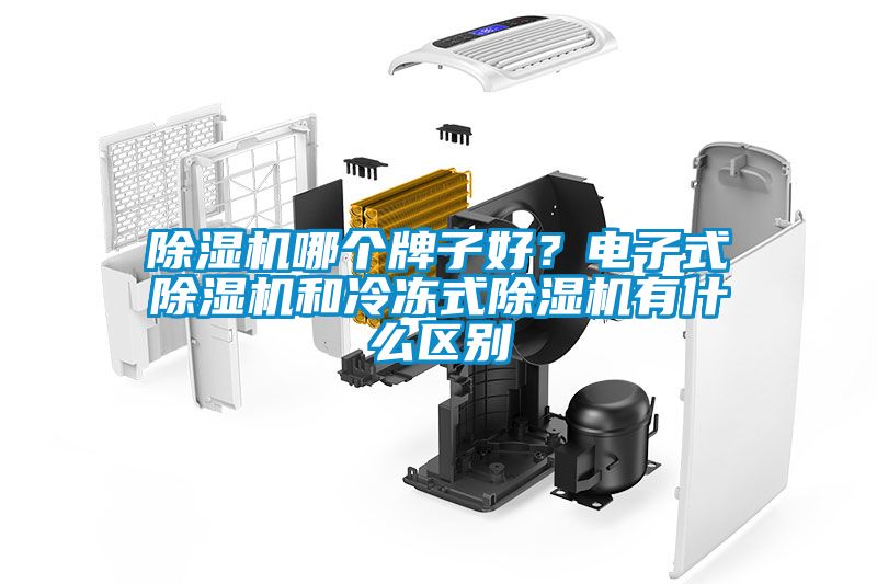 除湿机哪个牌子好？电子式除湿机和冷冻式除湿机有什么区别
