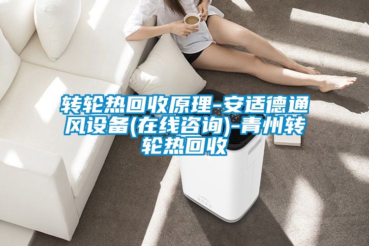 转轮热回收原理-安适德通风设备(在线咨询)-青州转轮热回收