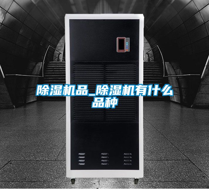 除湿机品_除湿机有什么品种