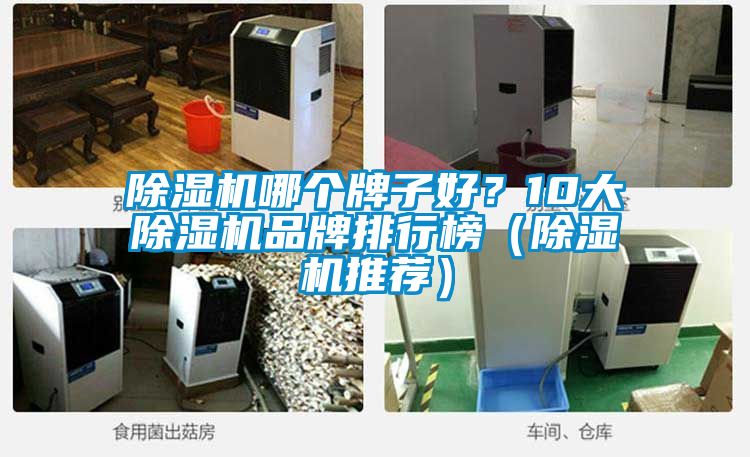 除湿机哪个牌子好？10大除湿机品牌排行榜（除湿机推荐）