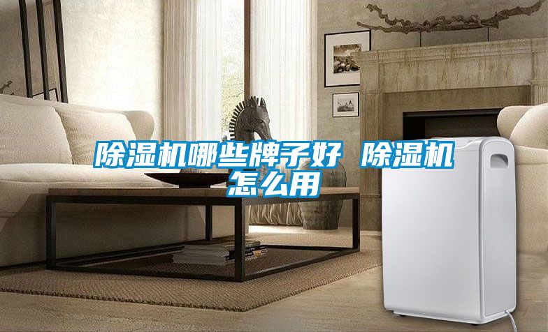 除湿机哪些牌子好 除湿机怎么用