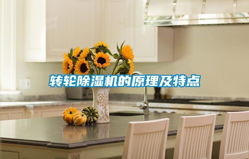 转轮除湿机的原理及特点