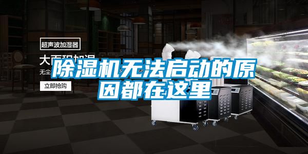 除湿机无法启动的原因都在这里