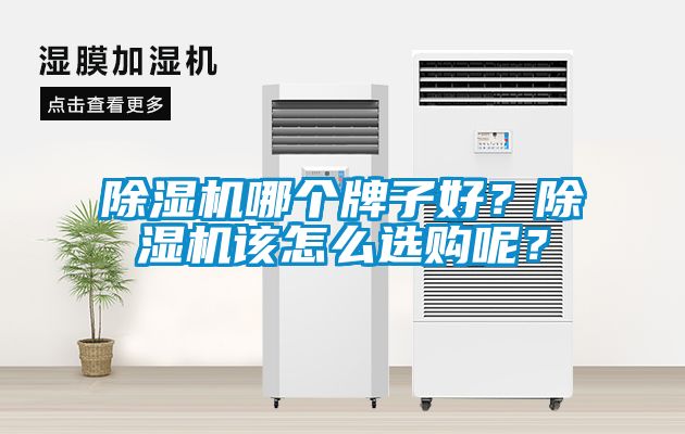 除湿机哪个牌子好?除湿机该怎么选购呢?