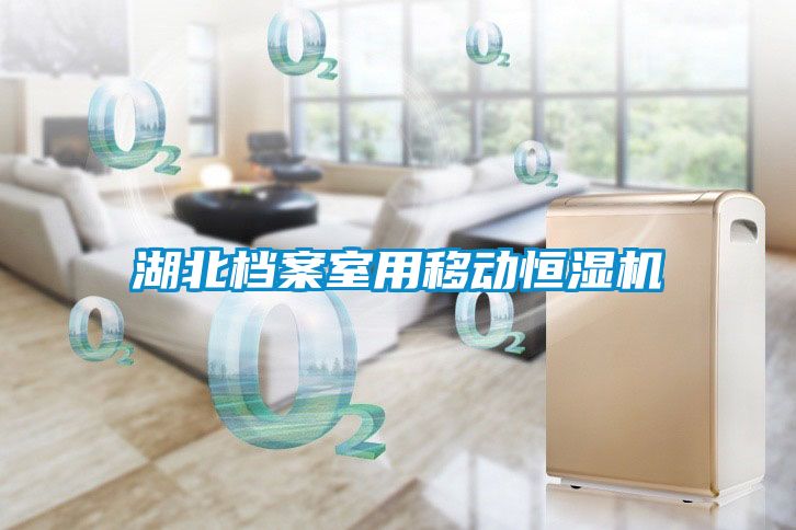 湖北档案室用移动恒湿机