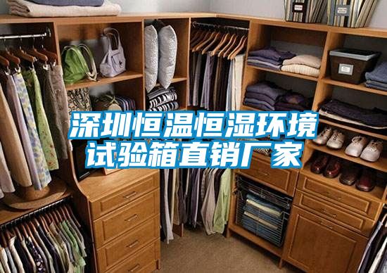 深圳恒温恒湿环境试验箱直销厂家