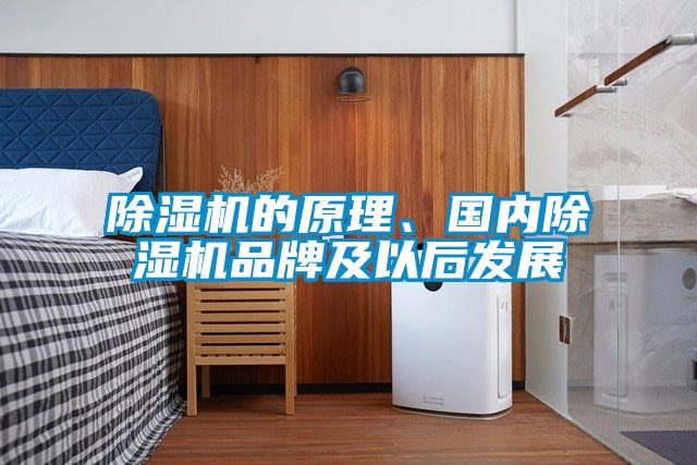 除湿机的原理、国内除湿机品牌及以后发展