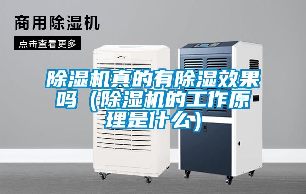 除湿机真的有除湿效果吗(除湿机的工作原理是什么)