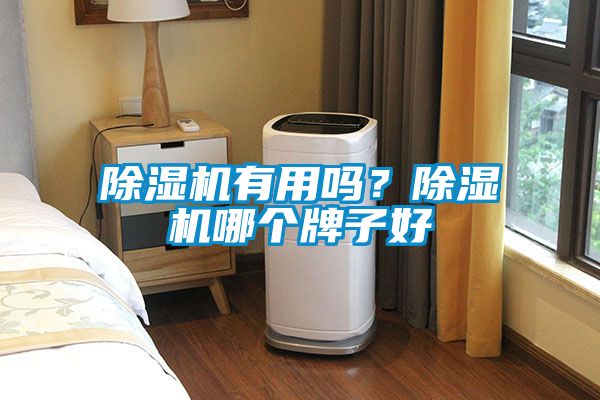 除湿机有用吗？除湿机哪个牌子好